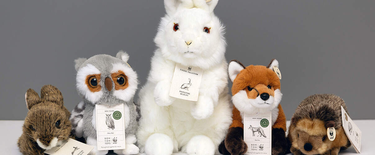 Fünf Plüschtiere nebeneinander