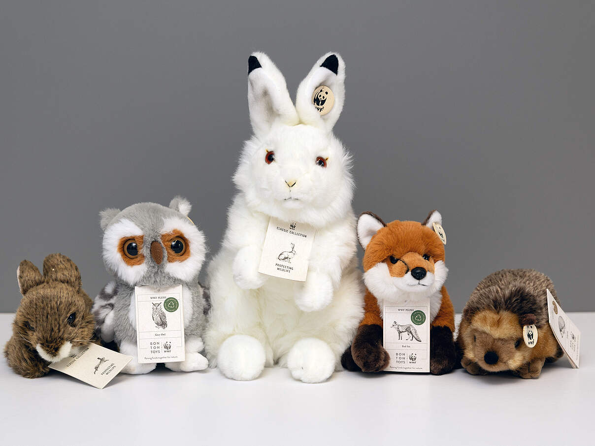 Fünf Plüschtiere nebeneinander