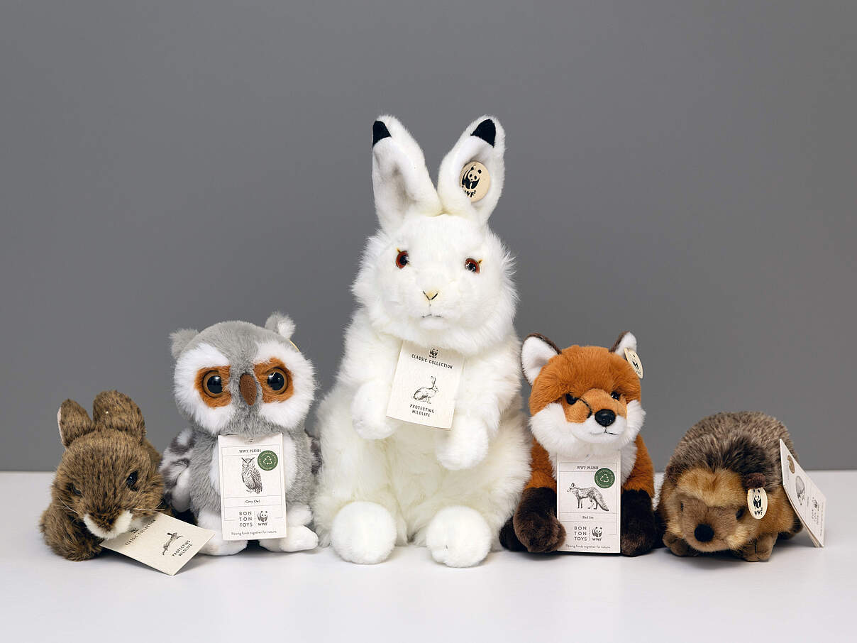 Fünf Plüschtiere nebeneinander