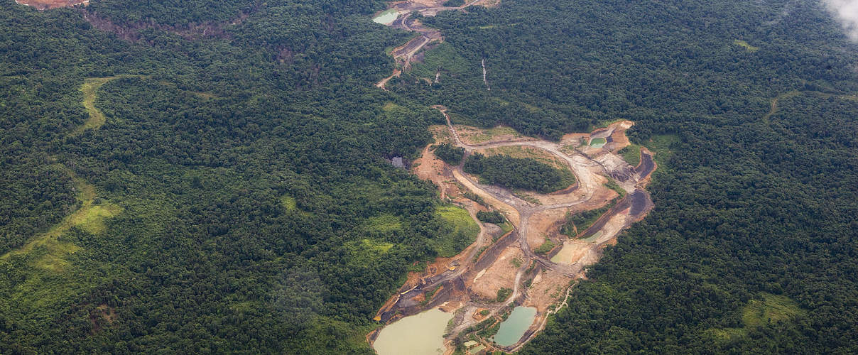 Waldrodung auf Borneo © Simon Rawles / WWF