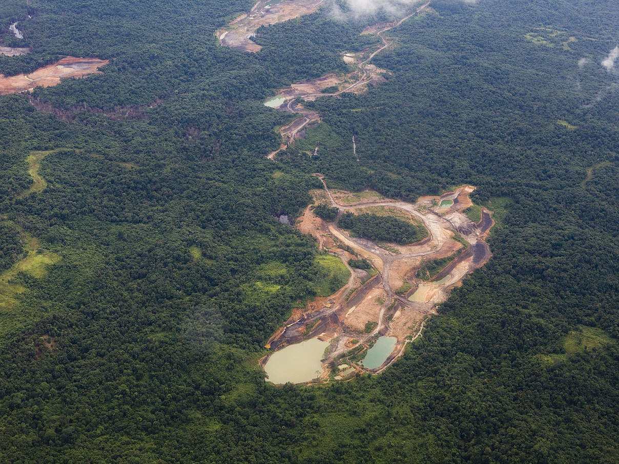 Waldrodung auf Borneo © Simon Rawles / WWF