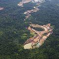 Waldrodung auf Borneo © Simon Rawles / WWF