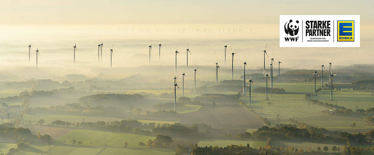 Windräder mit EDEKA-Logo © GettyImages / c Tobias