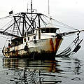 Illegaler Trawler © Mike Markovinathe / Pew Charitable Trusts