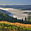 Schwarzwald © Erich Spiegelhalter