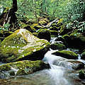 Wasserkaskade in den Great Smoky Mountains, Tennessee, US © WWF-US / Colby Loucks