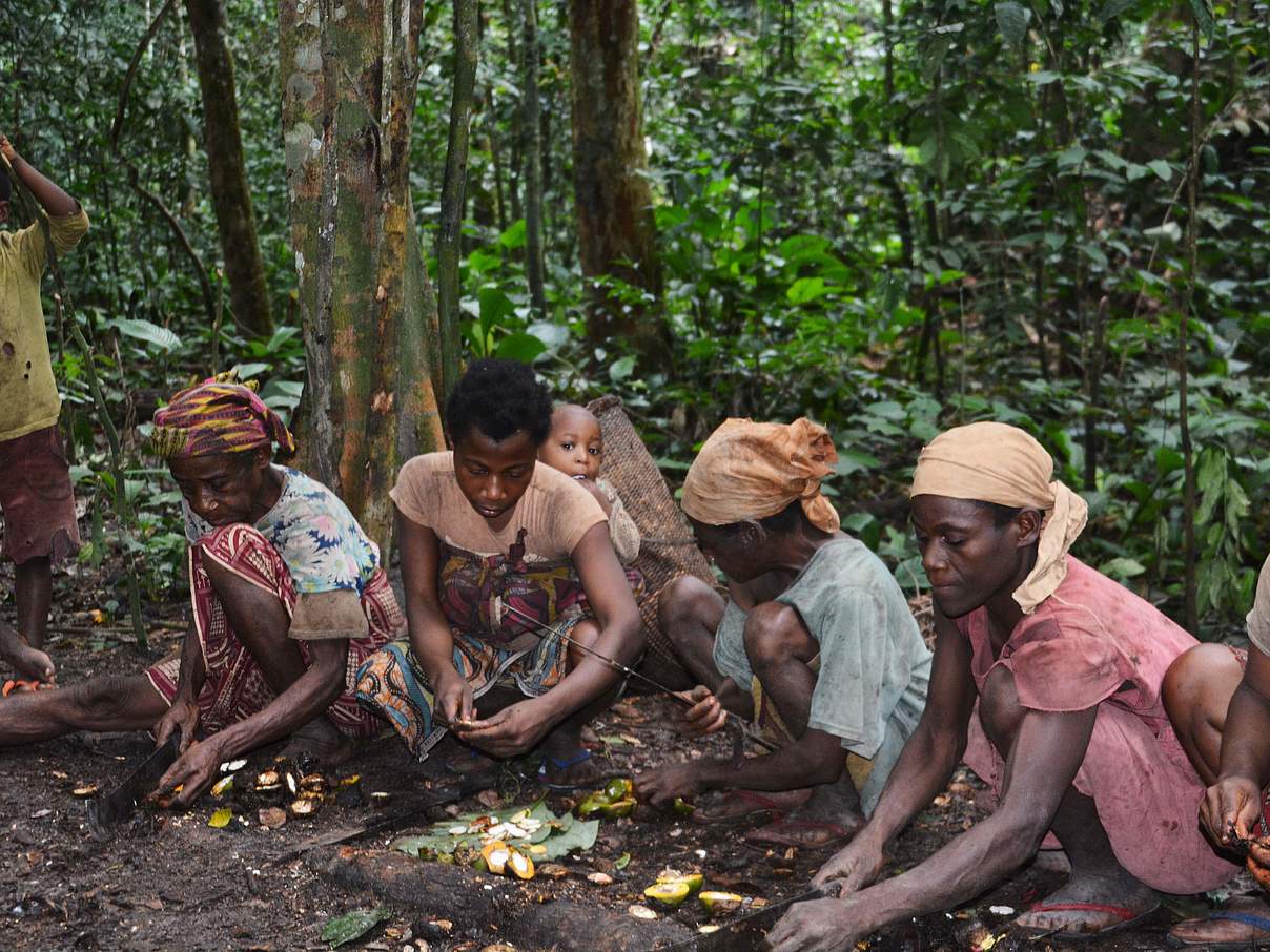 Baka in Lobeke verarbeiten Waldprodukte © Ernest Sumelong / WWF