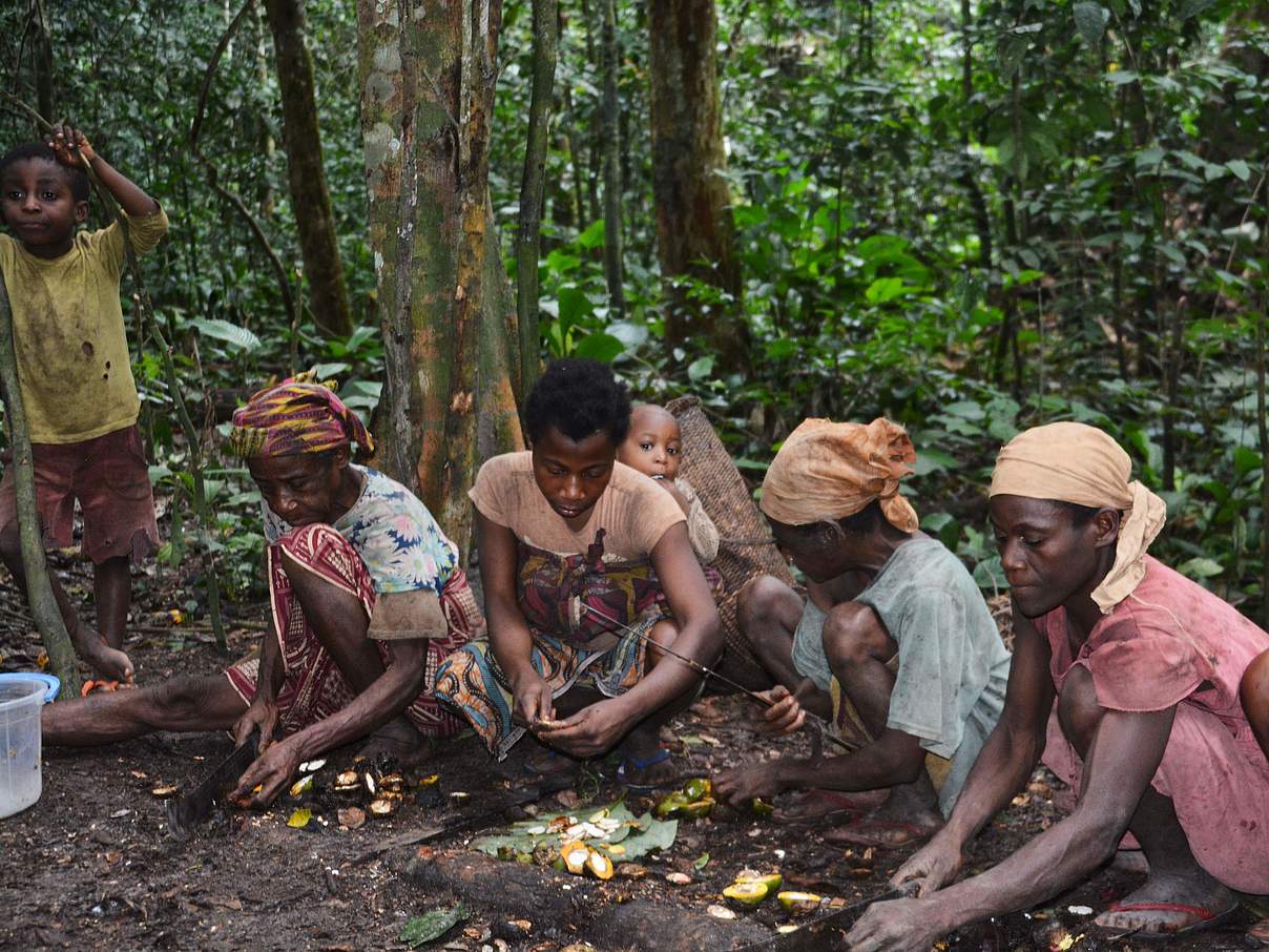 Baka in Lobeke verarbeiten Waldprodukte © Ernest Sumelong / WWF
