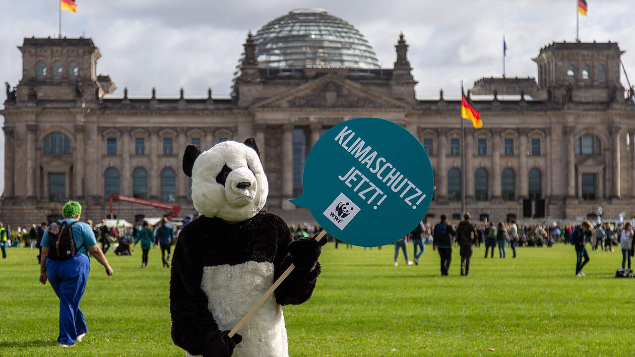 Klimastreik in Berlin © Markus Winkler / WWF