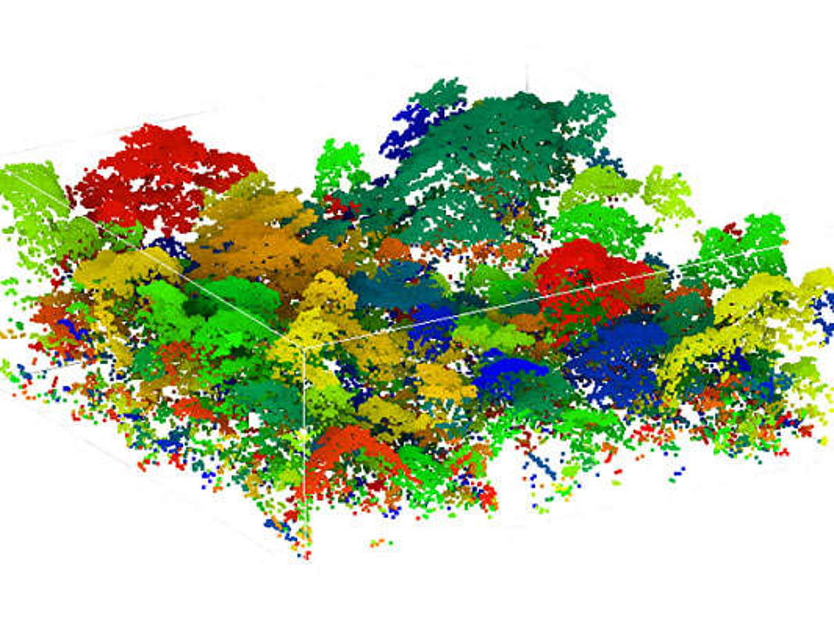 Mit LiDAR Daten erstellte 3D-Waldstruktur © Ferraz / Satchi, 2015
