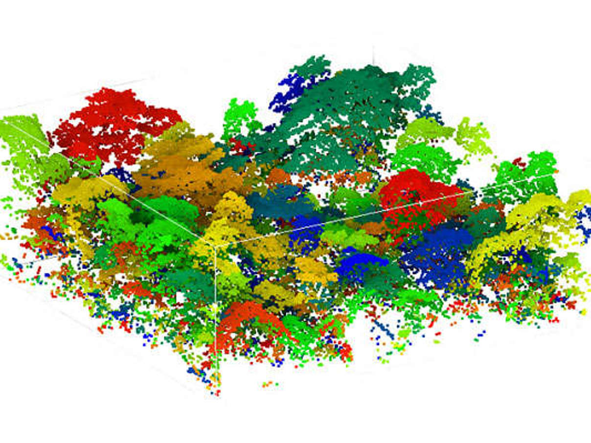 Mit LiDAR Daten erstellte 3D-Waldstruktur © Ferraz / Satchi, 2015 Mit LiDAR Daten erstellte 3D-Waldstruktur © Ferraz / Satchi, 2015