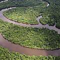 Regenwald Amazonas © Brent Stirton / Getty Images