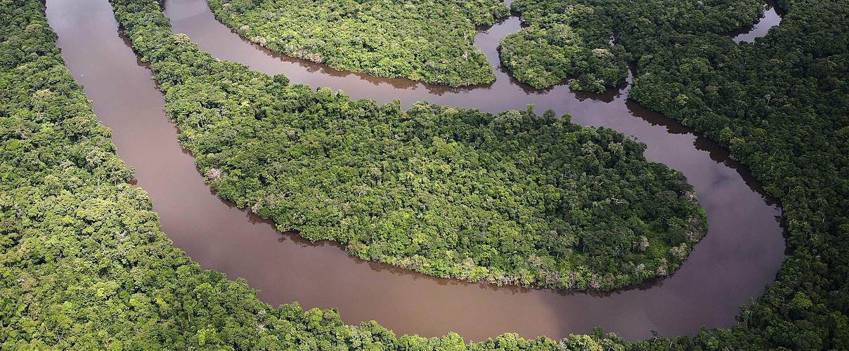 Regenwald Amazonas © Brent Stirton / Getty Images