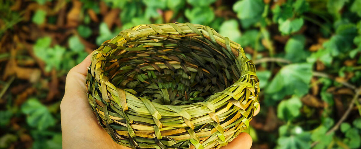 Korbflechten aus Wildpflanzen 