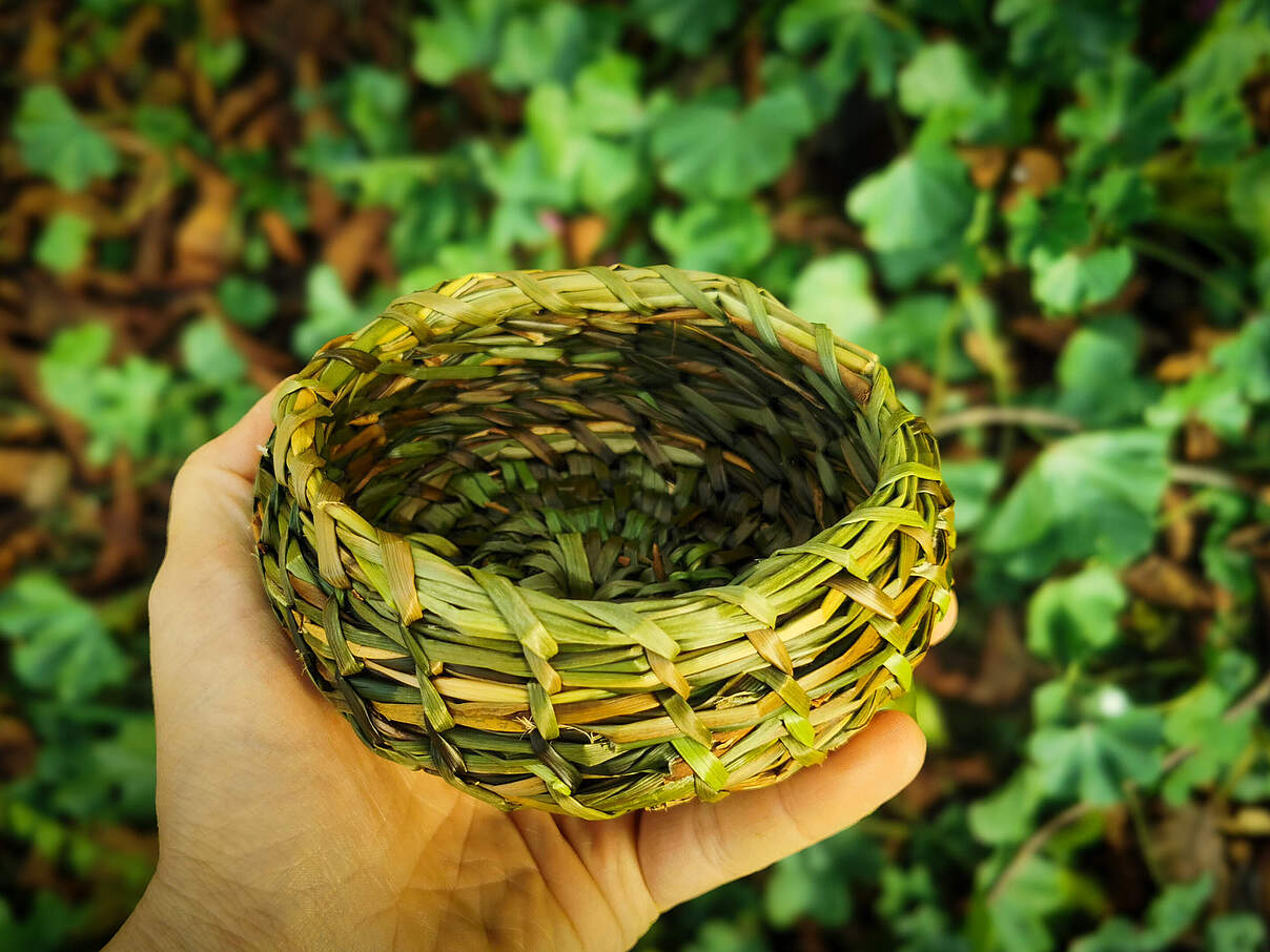 Korbflechten aus Wildpflanzen 