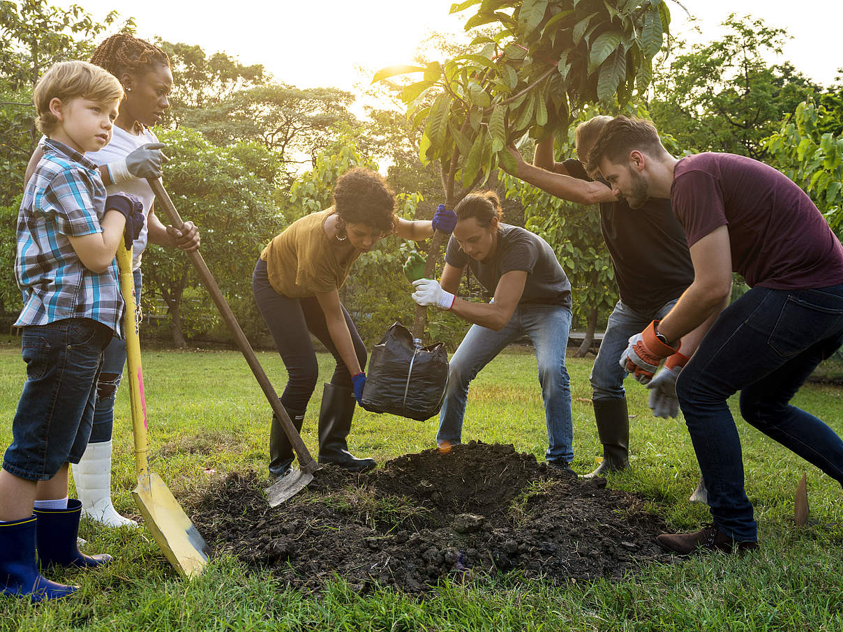 Gruppe pflanzt Baum © Rawpixel / iStock