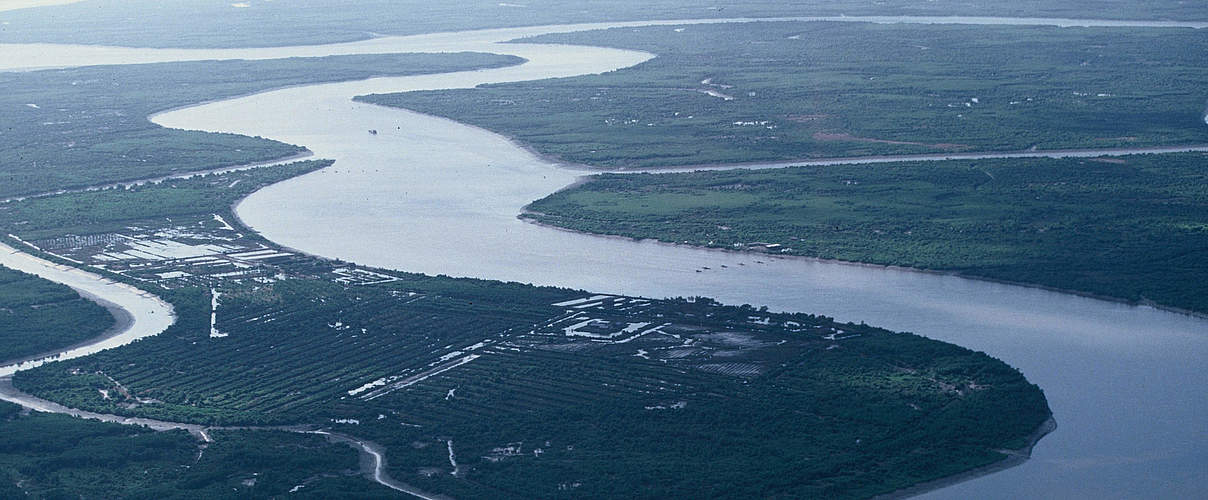 Mekong Delta in Vietnam © Elizabeth Kemf / WWF