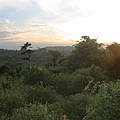 Sonnenuntergang © WWF-Uganda / Earth Hour Global 