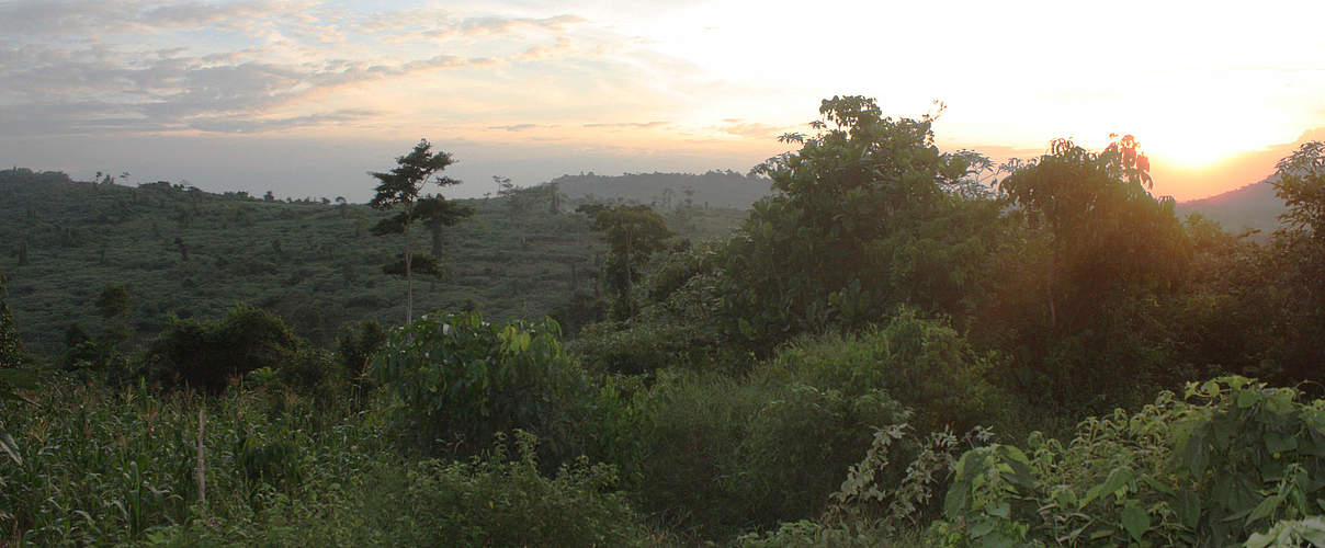 Sonnenuntergang © WWF-Uganda / Earth Hour Global 