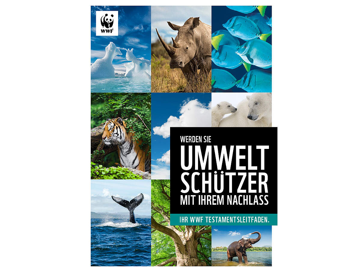 Cover des Testamentsleitfaden 