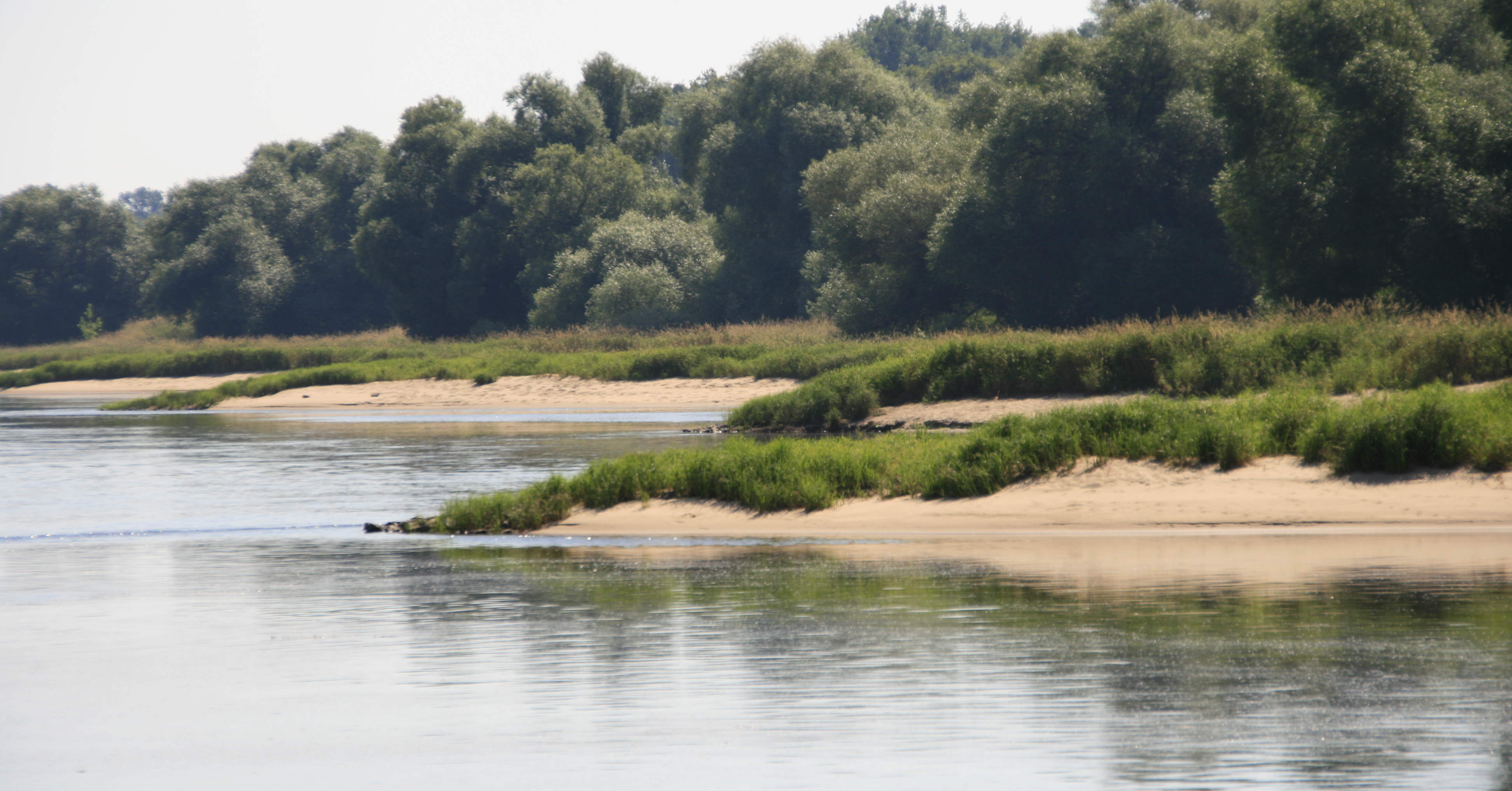 Mittlere Elbe Landschaft im Fluss