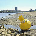 Rheinpegel Niedrigwasser
