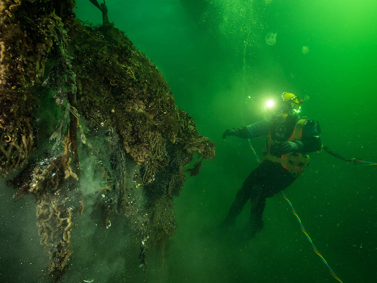 Taucher findet Geisternetz © Christian Howe / WWF