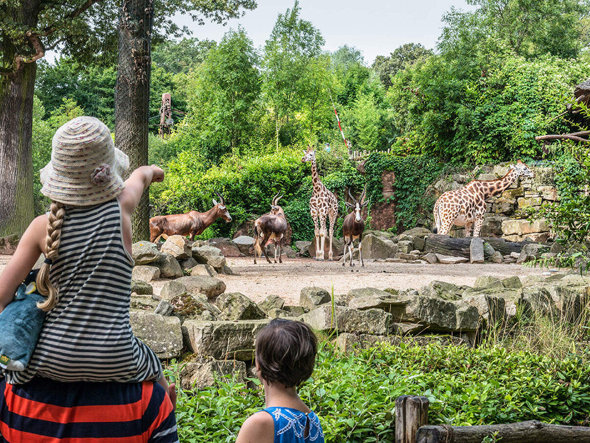 Giraffenanlage im Erlebnis-Zoo Hannover © Erlebnis-Zoo Hannover