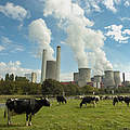 Der Kohleausstieg muss in NRW nun schnell begonnen werden © Andrew Kerr/WWF