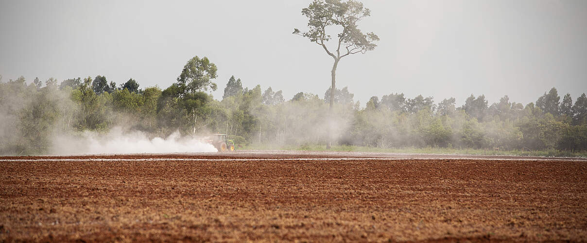 Landwirtschaftliche Arbeiten wo einst dichter Regenwald stand © Sonja Ritter / WWF