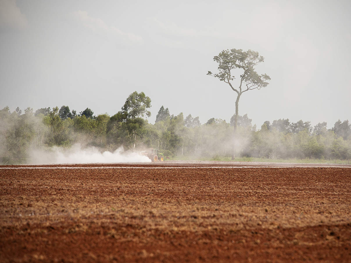 Landwirtschaftliche Arbeiten wo einst dichter Regenwald stand © Sonja Ritter / WWF