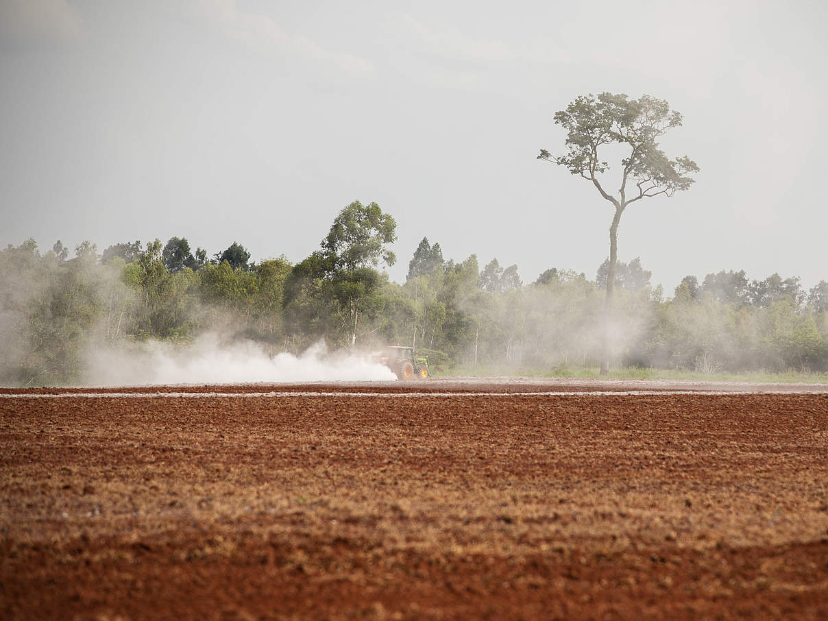 Landwirtschaftliche Arbeiten wo einst dichter Regenwald stand © Sonja Ritter / WWF