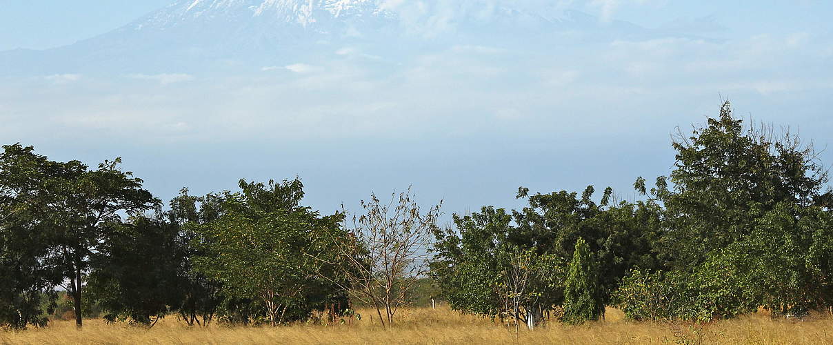 Blick auf den Kilamanjaro in Kenia © Lisa Blanken / WWF