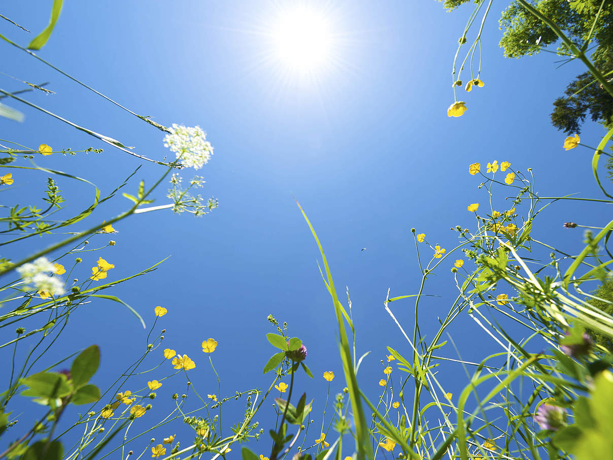 Sonne © iStock / Getty Images