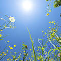 Sonne © iStock / Getty Images