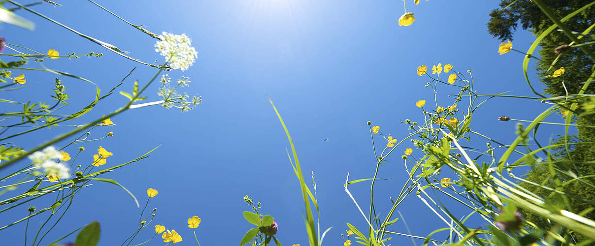 Sonne © iStock / Getty Images