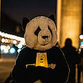 Earth Hour am Brandenburger Tor © Andi Weiland / WWF