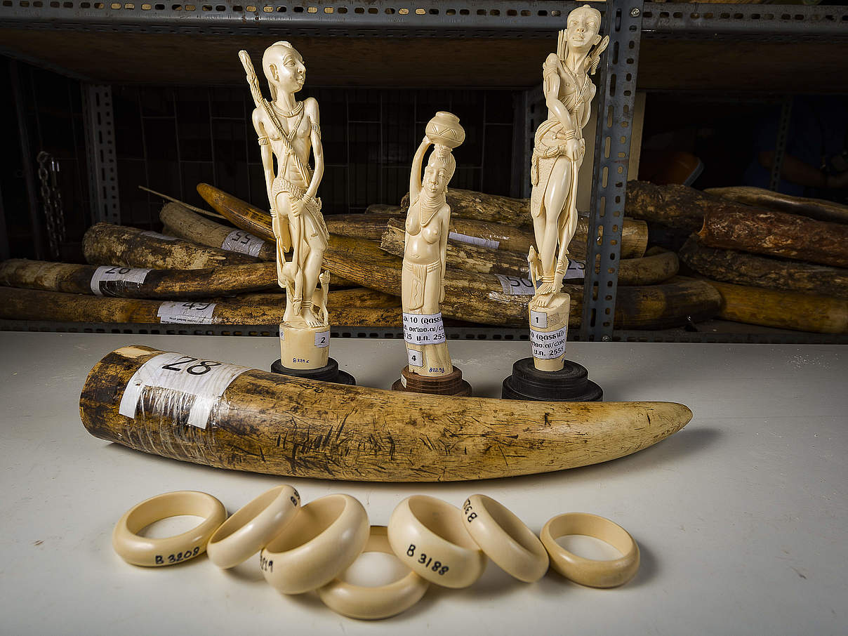 Elfenbeinhandel © Ola Jennersten / WWF-Schweden