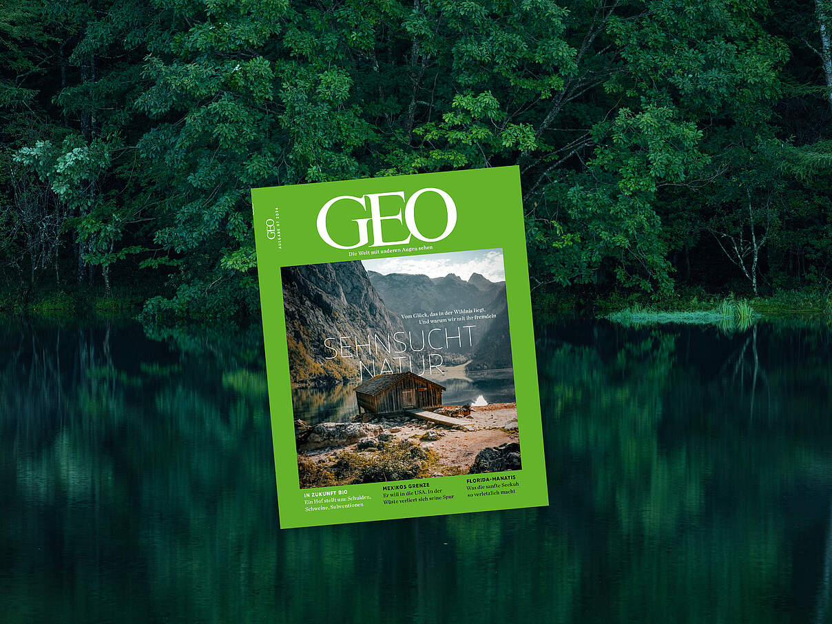 Wald mit GEO Cover © GEO