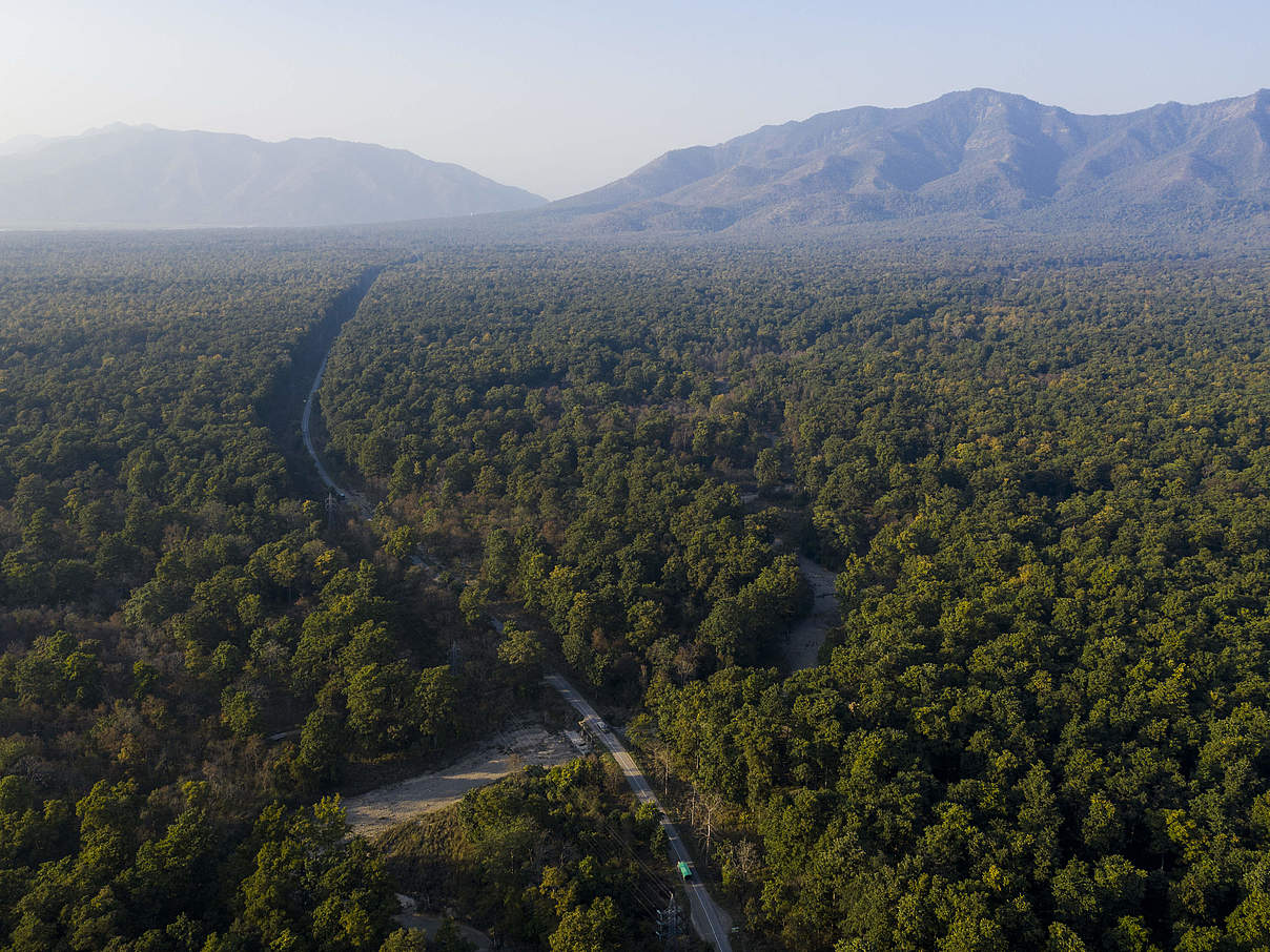 Bardia National Park Nepal © Emmanuel Rondeau / WWF UK