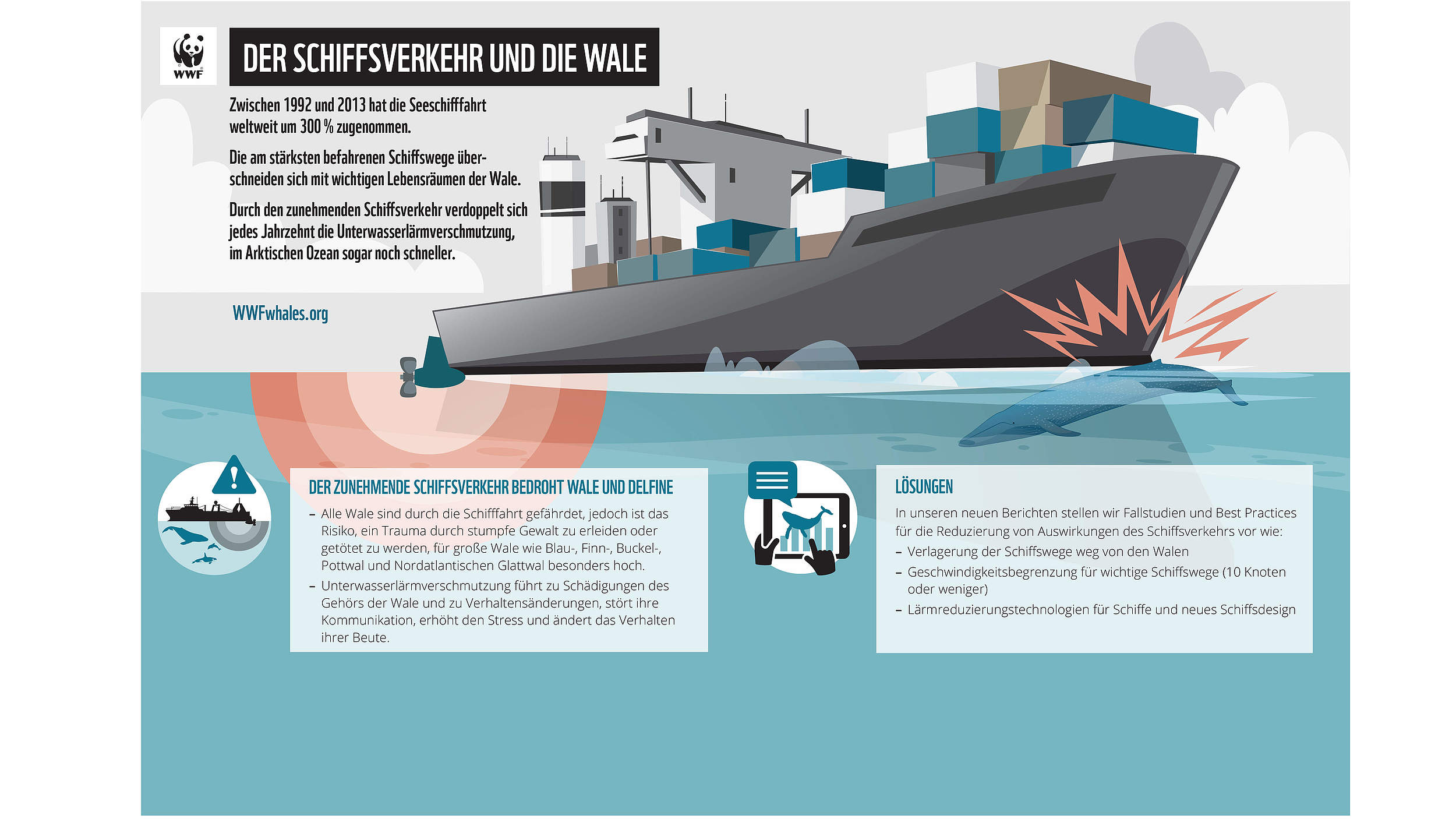 Der Schiffsverkehr und die Wale