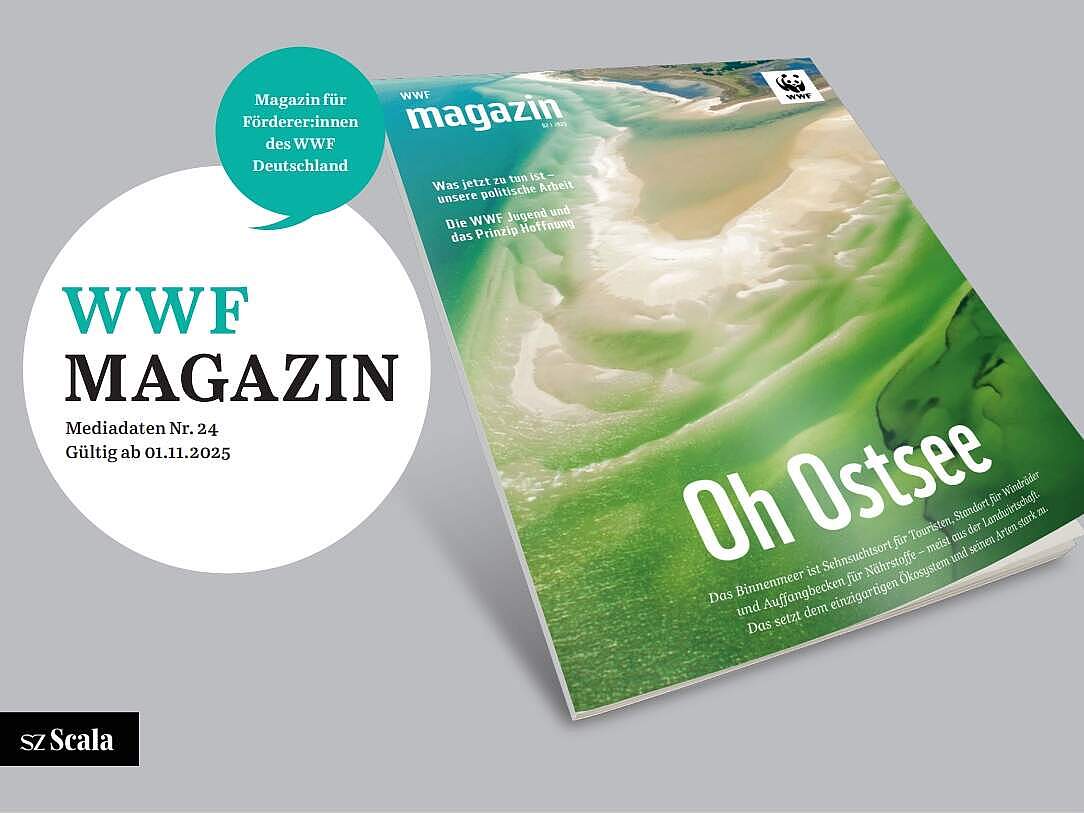 Mediadaten des WWF Magazins © WWF