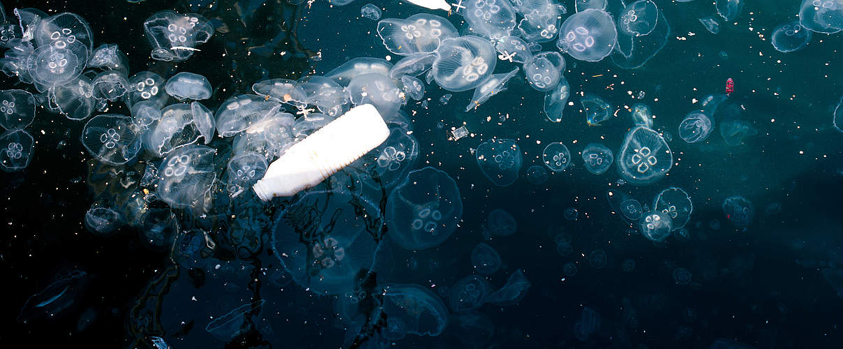 Plastikmüll im Meer neben Quallen © Berkay / iStock / Getty Images