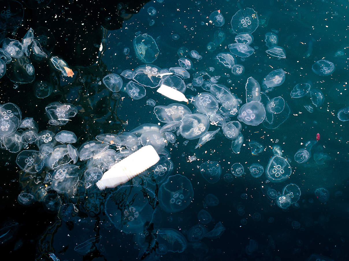 Plastikmüll im Meer neben Quallen © Berkay / iStock / Getty Images