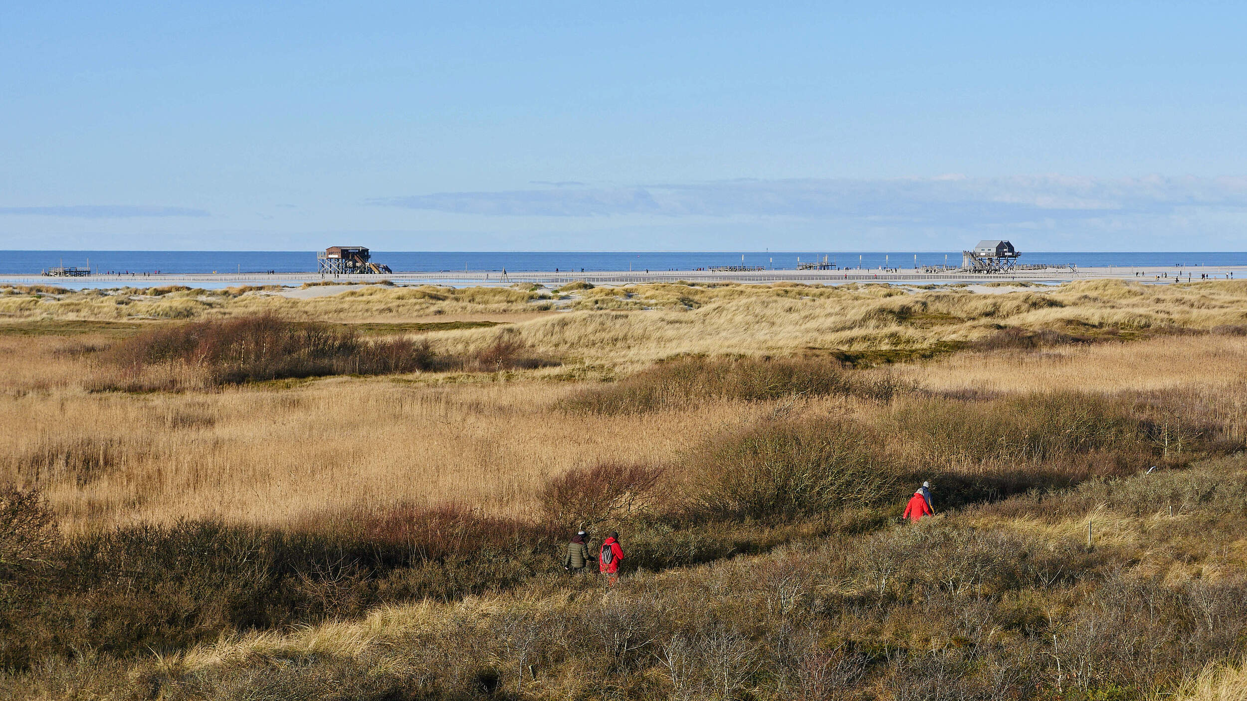Dünen und Pfahlbauten bei St. Peter-Ording © Hans-Ulrich Rösner / WWF