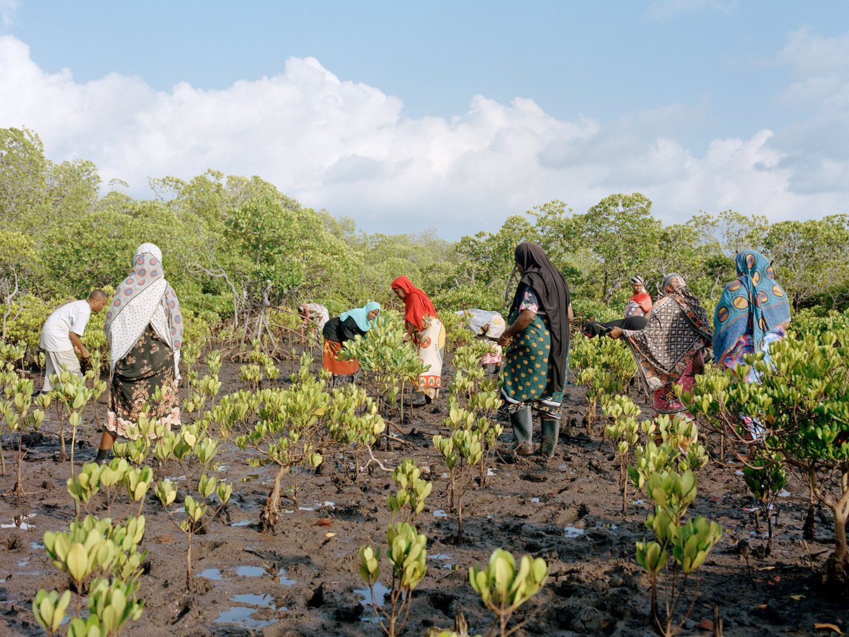 Frauen der „Mtangawanda Mangroves Restoration“-Initiative © Kent Andreasen / WWF 