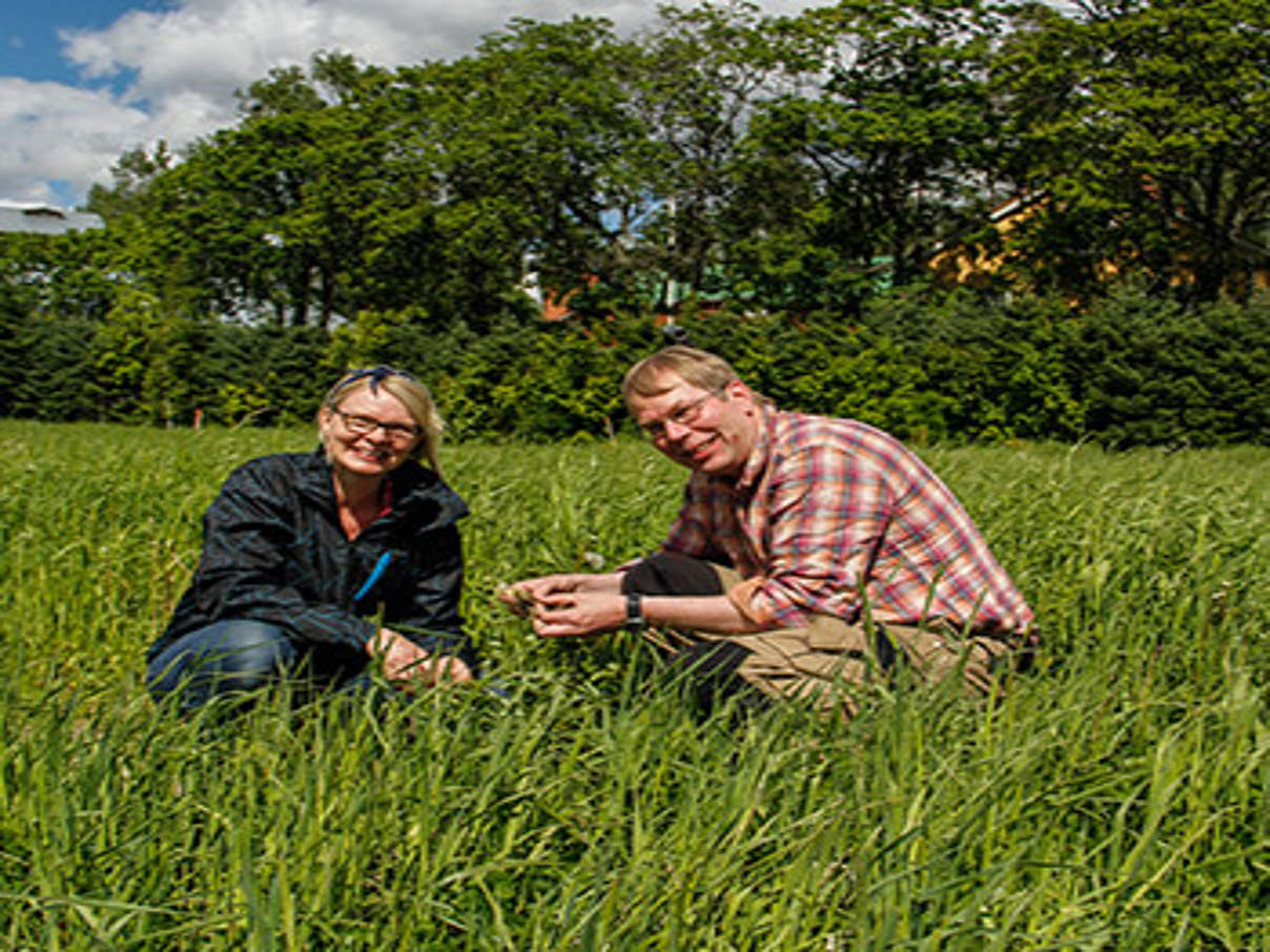 Ostsee-Landwirte 2015: Sieger-Ehepaar Markus und Minna Sakki-Eerola aus Finnland