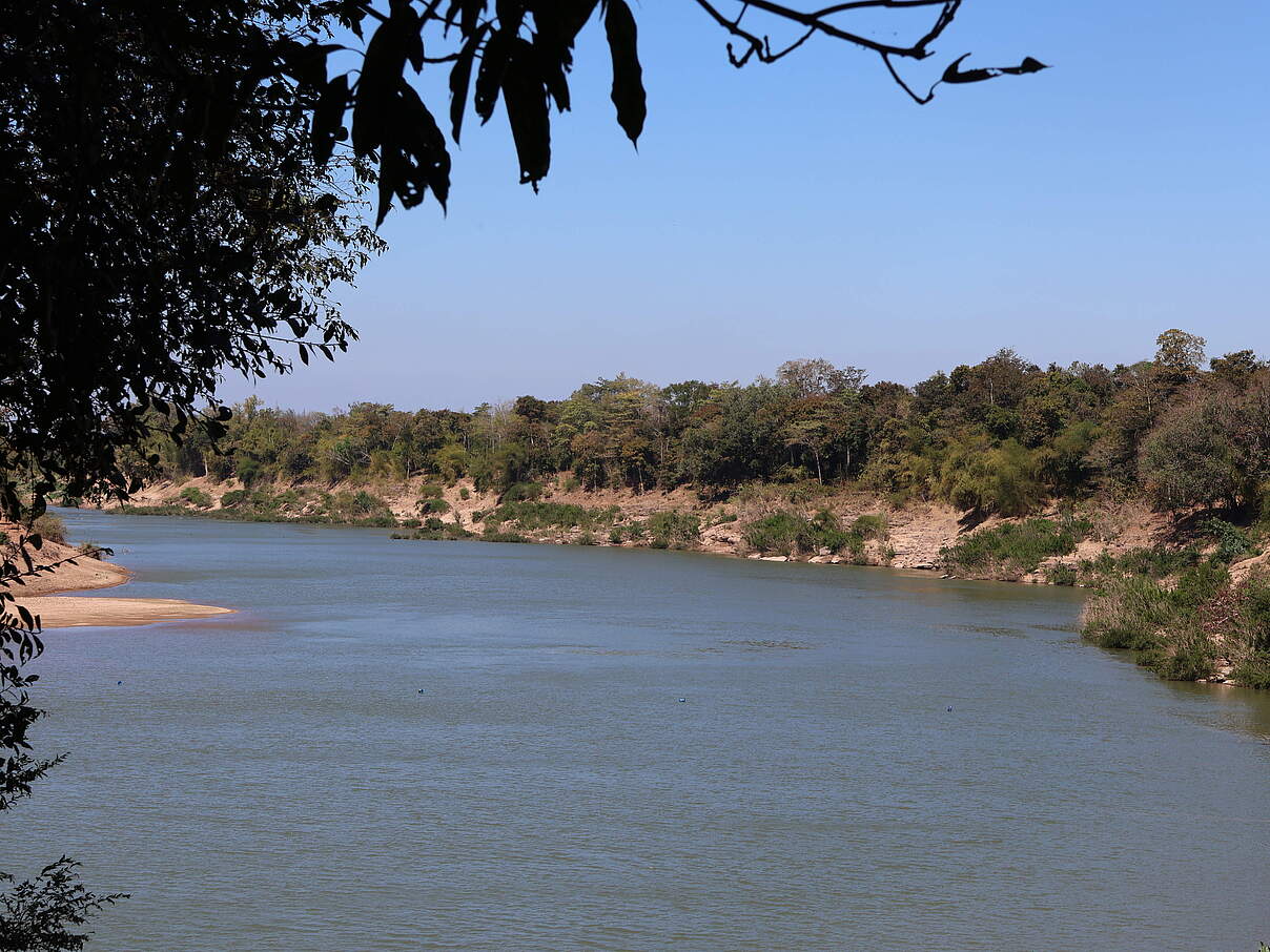 Fischschutz-Zone (FCZ) am Fluss Xe-Banghieng