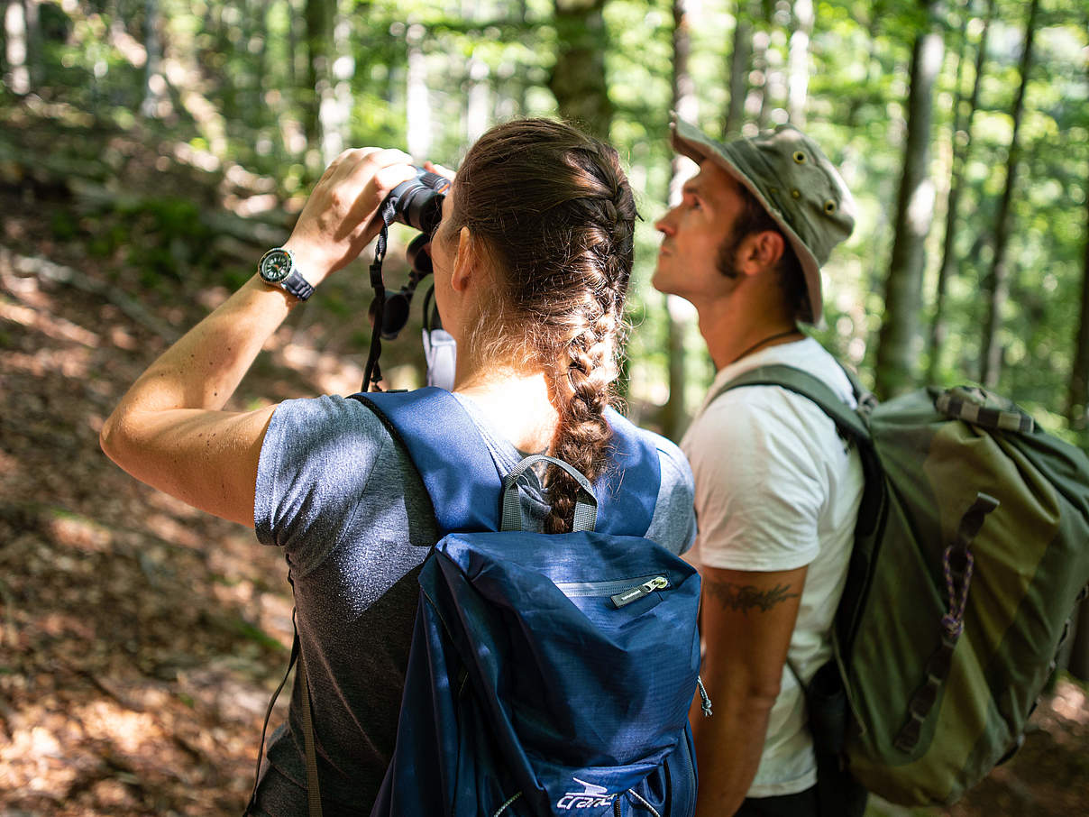 Wanderung Urwälder der Zukunft © Sebastian Kautz