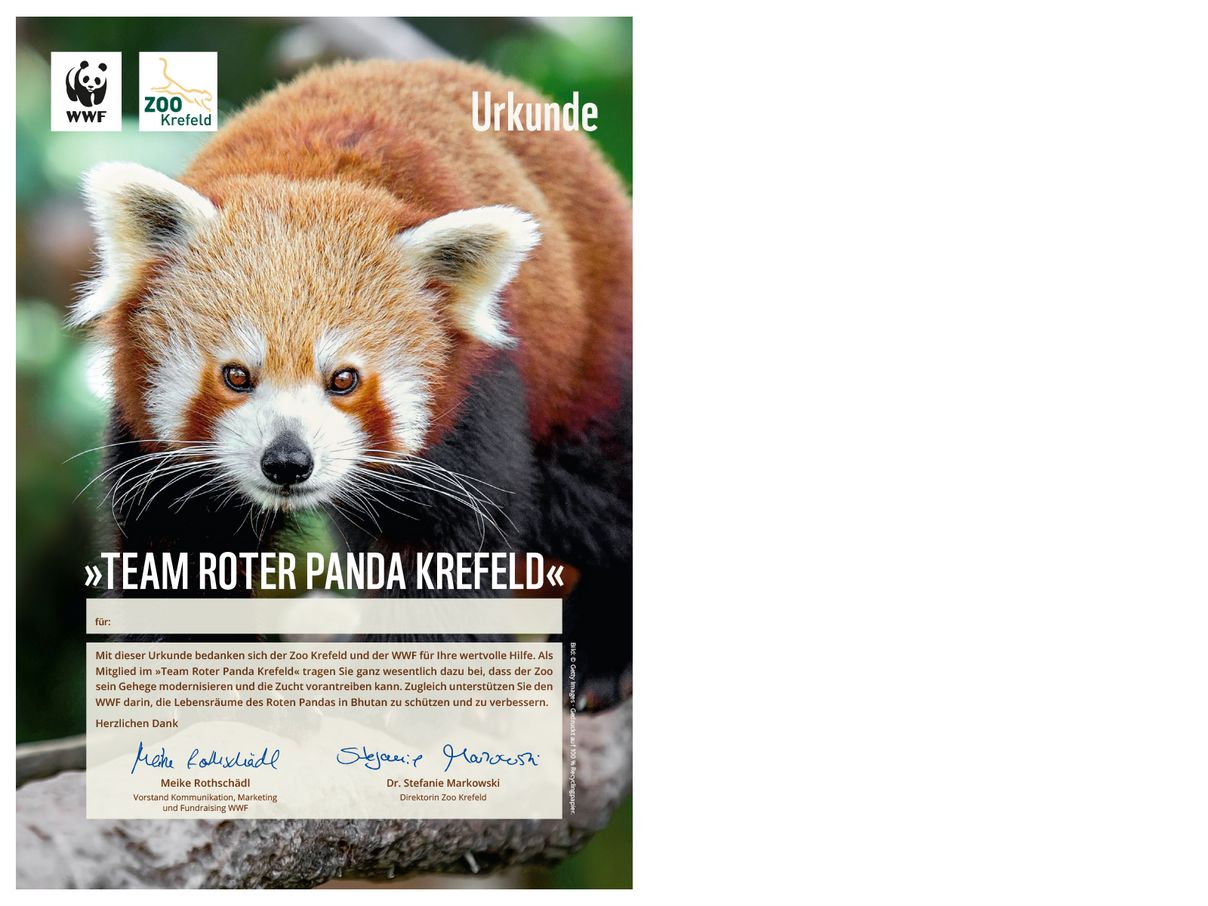 "Team Roter Panda Krefeld"-Urkunde © WWF